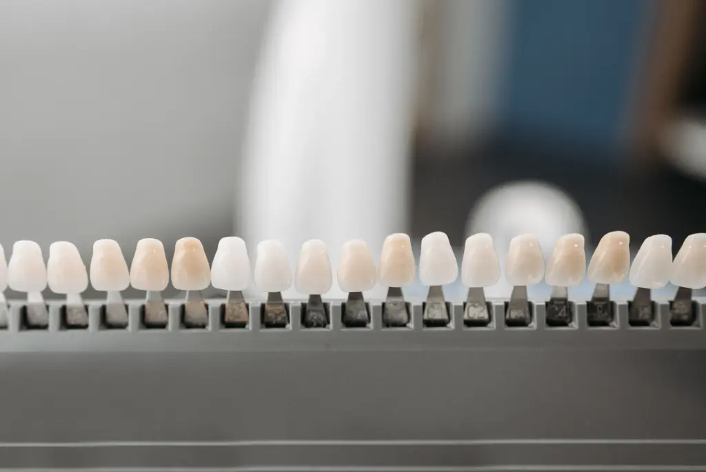 Dental veneer shade samples used to compare tooth colour.